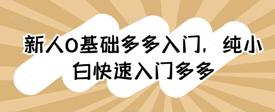 （8468期）新人0基础多多入门，​纯小白快速入门多多