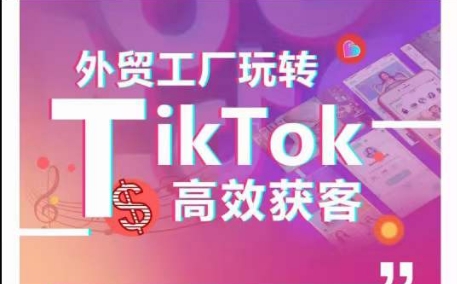 （8472期）外贸工厂玩转TikTok高效获客，多种引流方式与账号定位技巧，拆解爆款短视频打造成功案例