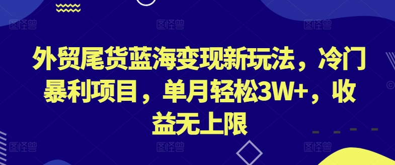 （8487期）外贸尾货蓝海变现新玩法，冷门暴利项目，单月轻松3W+，收益无上限