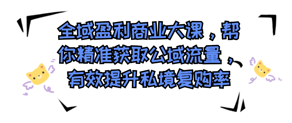 （8498期）全域盈利商业大课，帮你精准获取公域流量，有效提升私境复购率，放大利润且持续变现 私域变现 第1张