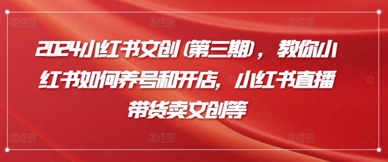 （8501期）2024小红书文创(第三期)，教你小红书如何养号和开店，小红书直播带货卖文创等