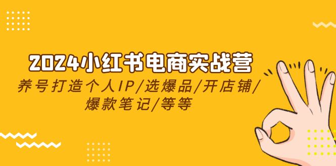 （8513期）2024小红书电商实战营，养号打造IP/选爆品/开店铺/爆款笔记/等等