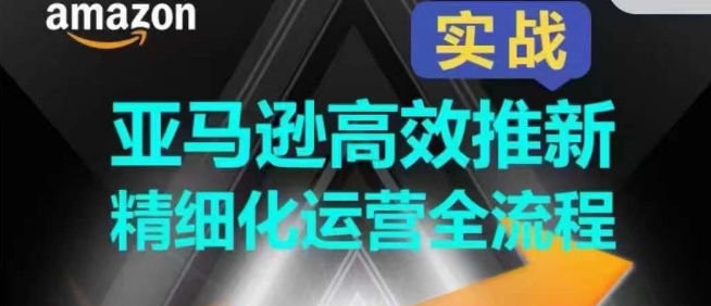 （8616期）亚马逊高效推新精细化运营全流程，精细化打造Listing视觉和文案 电商运营 第1张