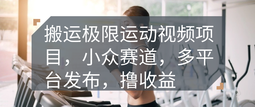 （8631期）搬运极限运动视频项目，小众赛道，多平台发布，撸收益 网赚项目 第1张