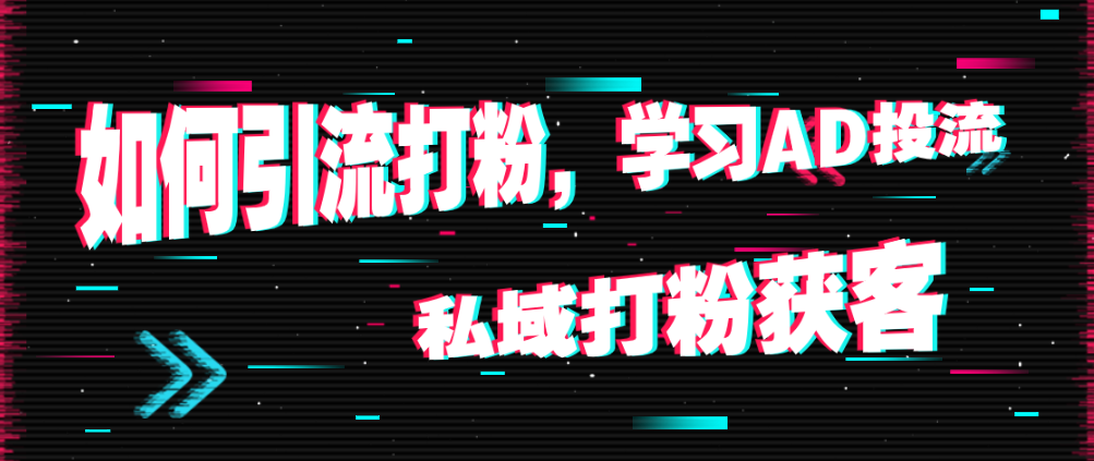 （8724期）如何引流打粉，学习AD投流，私域打粉获客 私域变现 第1张