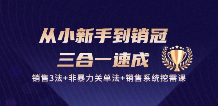 （8768期）从小新手到销冠 三合一速成：销售3法+非暴力关单法+销售系统挖需课