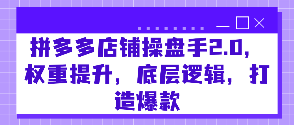 （8799期）拼多多店铺操盘手2.0，权重提升，底层逻辑，打造爆款 电商运营 第1张