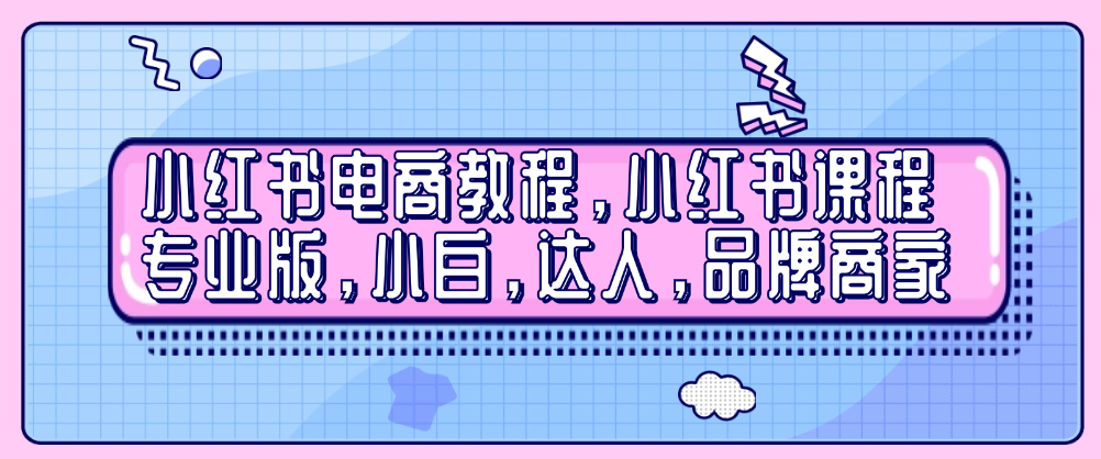 （8904期）小红书电商教程，小红书课程专业版，小白，达人，品牌商家 电商运营 第1张