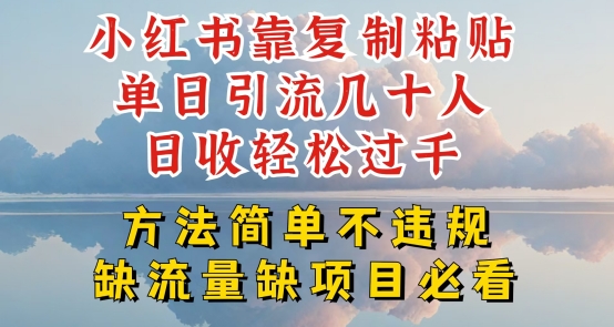 （8939期）小红书靠复制粘贴，单日引流几十人，日收入轻松过千