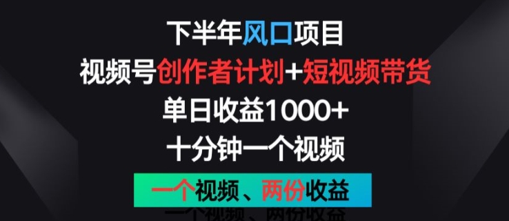 （8974期）下半年风口项目，视频号创作者计划+视频带货，一个视频两份收益