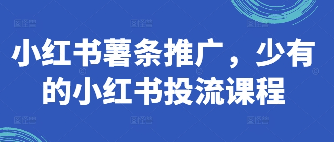 （9866期）红山会·小红书薯条推广，薯条投放流程 短视频运营 第1张