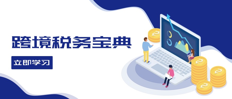 （10036期）多米·跨境税务宝典教程：跨境电商全球税务处理策略 综合教程 第1张
