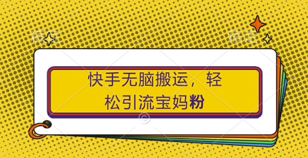 （10210期）快手无脑搬运，轻松引流宝妈粉，纯小白轻松上手