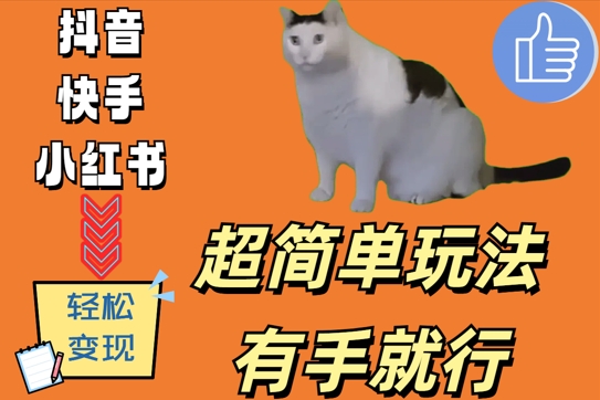 （10260期）猫咪搞怪视频，超简单有手就行，日入500+