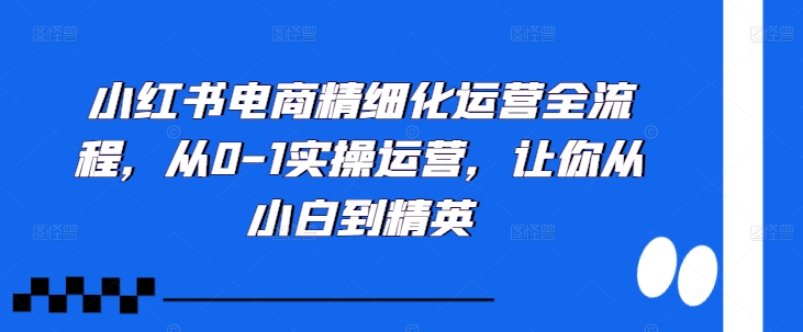（10345期）小红书电商精细化运营全流程，从0-1实操运营，让你从小白到精英