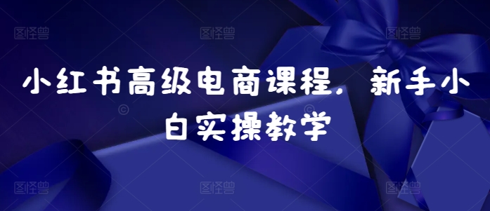 （10424期）小红书高级电商课程，新手小白实操教学 电商运营 第1张