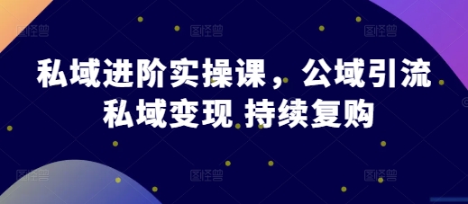 （10462期）私域进阶实操课，公域引流 私域变现 持续复购