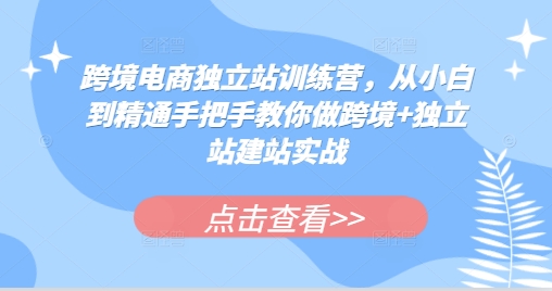 （10495期）跨境电商独立站训练营，从小白到精通手把手教你做跨境+独立站建站实战
