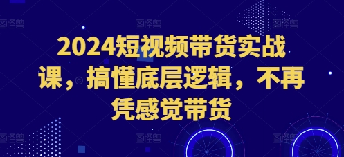 （10502期）2024短视频带货实战课，搞懂底层逻辑，不再凭感觉带货