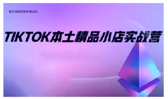 （10599期）TikTok本土精品小店出海实战营，从入门到高阶，不止0-1