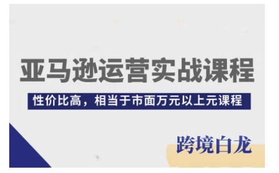 （10614期）亚马逊运营实战课程，亚马逊从入门到精通，性价比高，相当于市面万元以上元课程