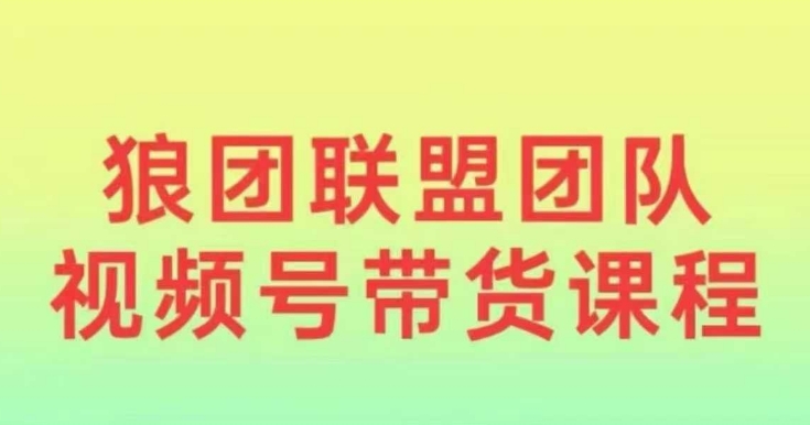 （10636期）2024视频号带货，0基础小白快速入局视频号 短视频运营 第1张