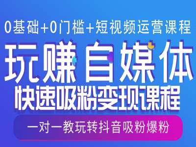 （10661期）0基础+0门槛+短视频运营课程，玩赚自媒体快速吸粉变现课程，一对一教玩转抖音吸粉爆粉