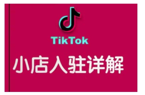 （10678期）TikTok跨境小店运营全攻略，帮助你独立运营TK跨境小店的能力，实现销量增长