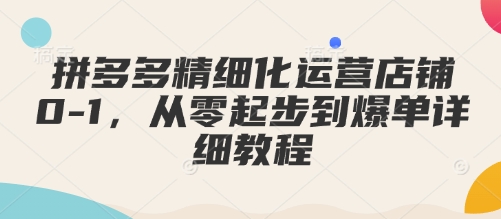 （10723期）拼多多精细化运营店铺0-1，从零起步到爆单详细教程