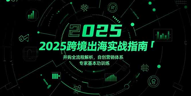 （10853期）2025跨境出海实战指南，并购全流程解析，自创营销体系，专家基本功训练