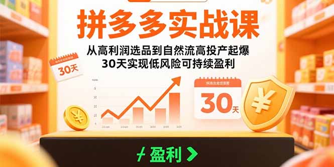 （10892期）拼多多实战课：从高利润选品到自然流高投产起爆 30天实现低风险可持续盈利