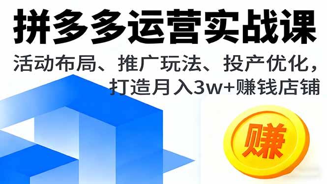 （11223期）拼多多运营实战课，活动布局、推广玩法、投产优化，打造月入3w+赚钱店铺